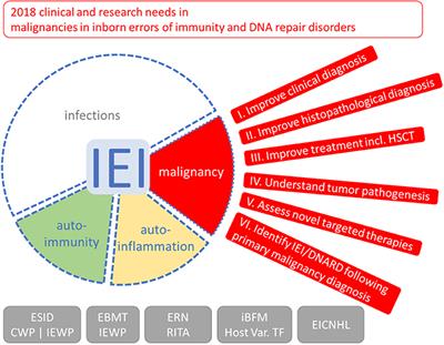 Current Understanding and Future Research Priorities in Malignancy Associated With Inborn Errors of Immunity and DNA Repair Disorders: The Perspective of an Interdisciplinary Working Group